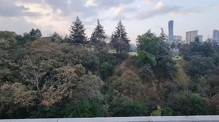 Residencia con terraza y domo central en Bosque Real — fotografía 4